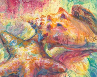 Seashells and Starfish Original Painting or Print by Artist Melani Pyke - Beach Tropical Ocean Modern Art