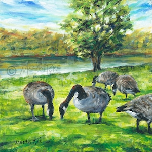 Kanadagänse Art Print - Impressionistische Herbstlandschaft mit Vögeln am Wasser; Quadratisch