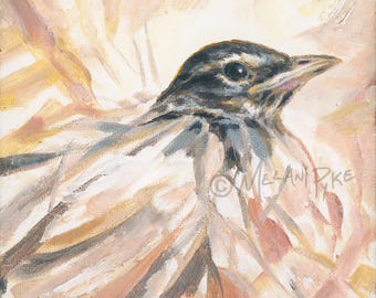 Robin Chick Original Painting or Print by Artist Melani Pyke - Baby Bird Springtime Modern Art