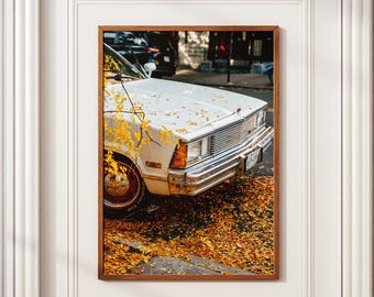 White Vintage Car & Yellow Leaves – Williamsburg Autumn Print, NYC Wall Art, Fall Decor Photography