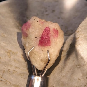 May include: A rough, off-white mineral specimen featuring embedded, vibrant pink crystalline inclusions. The stone is held securely by a silver-toned metal prong tool, showcasing its irregular, textured surface and natural, unpolished appearance.