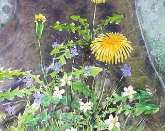 May include: A watercolor painting of a cluster of yellow dandelions and white flowers with blue flowers scattered throughout. The flowers are growing in a field of green grass.