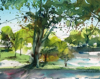Worcester Sketchbook, Elm Park during May, limited edition of 50 fine art giclee prints from my original watercolor