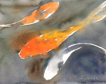 Koi Fish No.1, limited edition of 50 fine art giclee prints