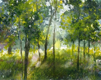 Worcester Sketchbook Cascades Park, limited edition of 50 fine art giclee prints