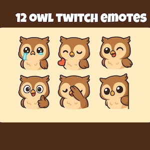 May include: A collection of 12 cartoon owl emotes with various expressions, including crying, holding a heart, winking, giving a thumbs up, covering eyes, and peeking. The owls are brown and beige, set against a light beige background with the text "12 OWL TWITCH emotes".