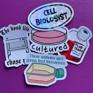 Op de afbeelding: Een verzameling van vier stickers met een wetenschappelijk thema. Eén is een ovale holografische sticker met de tekst CELL BIOLOGIST. Een andere toont een laboratoriumafzuigkap met de tekst The hood life chose me. Een derde toont een celkweekfles met de tekst These assholes ain't gonna feed themselves. De vierde is een fles met het label LAB TEARS OPTIMAL CELL BEVERAGE.