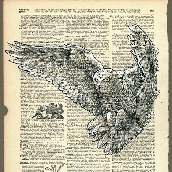 Snowy Owl on Dictionary Museum Quality Print - Archival 11 x 14 inches