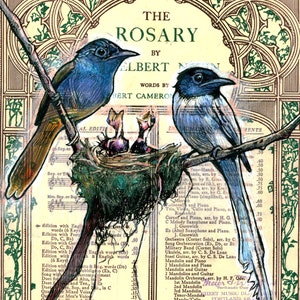 Nesting Paradise Flycatcher Couple with Hatchlings Museum Quality Print image 2