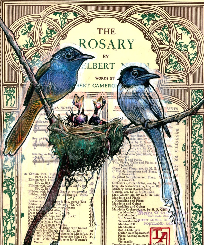 Nesting Paradise Flycatcher Couple with Hatchlings Museum Quality Print image 2