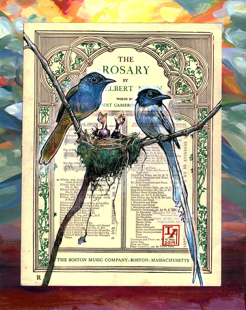 Nesting Paradise Flycatcher Couple with Hatchlings Museum Quality Print image 1