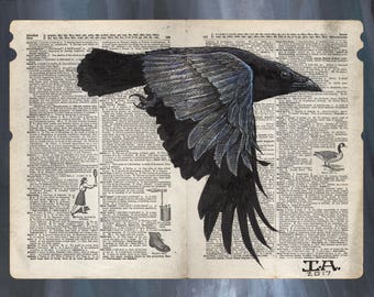 Puede incluir: Un cuervo negro con plumas gris azuladas está dibujado en una página de un libro antiguo. El cuervo está en vuelo y sus alas están extendidas. La página del libro está llena de texto en una fuente pequeña. El texto está en inglés e incluye la palabra "Blending". El cuervo está dibujado con un estilo realista y los detalles de sus plumas son visibles. El cuervo es un símbolo de misterio e inteligencia.
