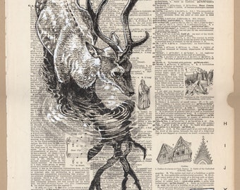 Deer Ripple - Wildlife Illustration on Vintage Dictionary Page - Museum Quality Giclée Print