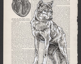 Stoic Wolf Portrait on Vintage Encyclopedia page - Museum Quality Print
