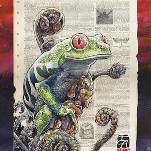 May include: A green tree frog with red eyes sits on a branch with fern-like plants. The frog is drawn in detail with a textured style. The background is a vintage dictionary page with the word "tortoise" highlighted. The image is signed "ZA 2019".