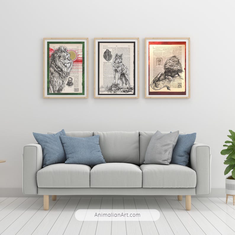 May include: Three framed black and white illustrations of lions on a white wall above a gray couch with blue pillows. The illustrations are printed on vintage book pages.