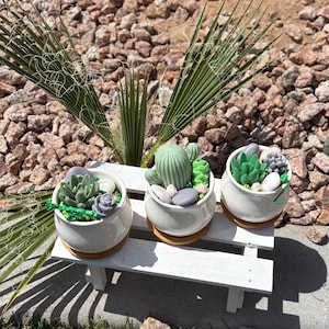 Natural Soap Succulent Arrangement in Ceramic Pot
