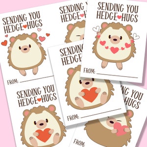 Lindo ouriço Valentine, cartão de dia dos namorados para impressão, ouriço, dia dos namorados em sala de aula, festa de classe infantil, impressão digital em casa, dia dos namorados animal
