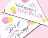Lemon Party Printables, Lemonade Stand Sign, Lemon Party Decor, Printable Lemonade Sign, DIY Flags, DIY Pennants, Digital Download Il_170x135