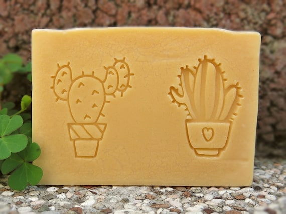 S012 Cactus with Text Mint Garden Soap Stamp Handmade Cookie Stamp Resin Stamp