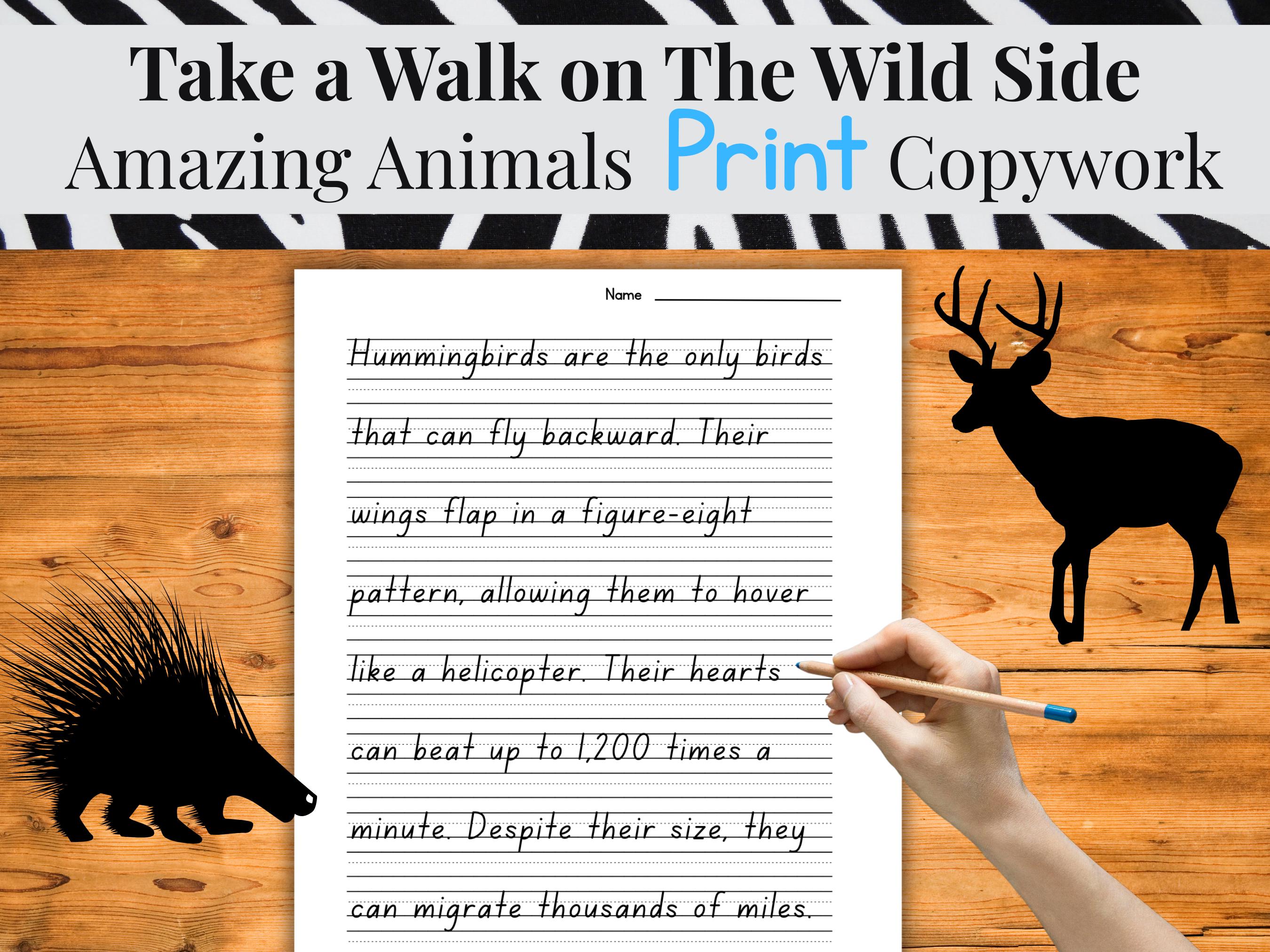 Animal Facts Copywork: Handwriting Practice + Headband Game (printable ...