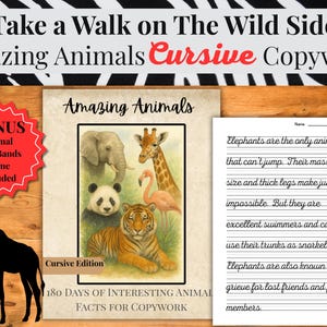 Puede incluir: Un libro educativo para niños titulado "Amazing Animals" con ejercicios de escritura cursiva. La portada presenta ilustraciones de un elefante, una jirafa, un panda, un tigre y un flamenco. Incluye un juego de diademas de animales de bonificación.