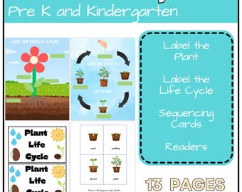 Printable Preschool Plant Learning Bundle
