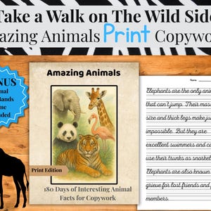 May include: A print copywork set titled "Amazing Animals" with a watercolor illustration of an elephant, giraffe, panda, tiger, and flamingo. Includes a bonus game and animal headbands. The text reads "Take a Walk on The Wild Side."