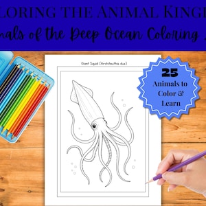 May include: A coloring book page featuring a detailed illustration of a giant squid, with the text "Giant Squid (Architeuthis dux)". A blue pencil case with colorful pencils is on the left. The text "25 Animals to Color & Learn" is on the right.