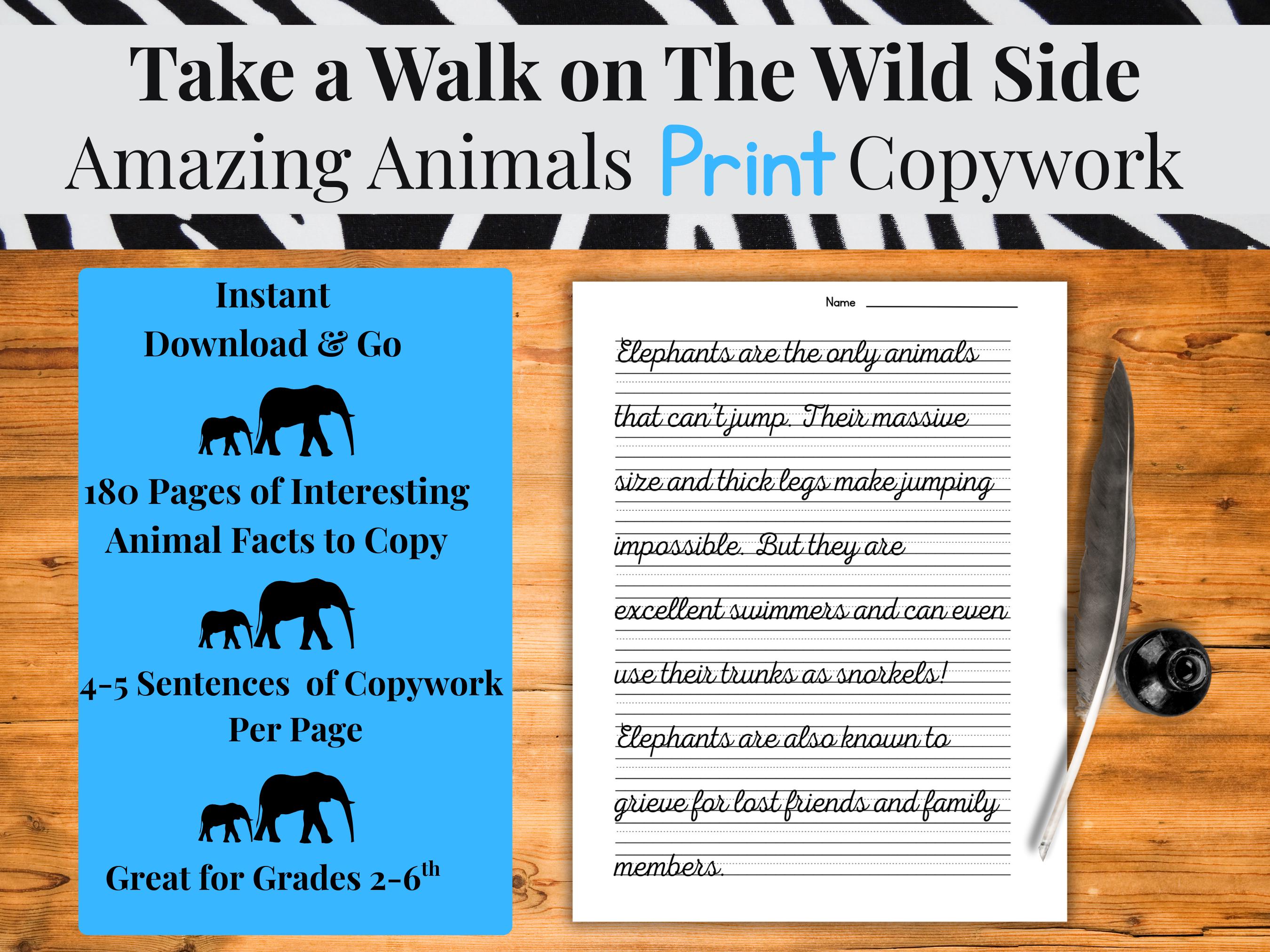 Animal Facts Copywork: Handwriting Practice + Headband Game (printable ...