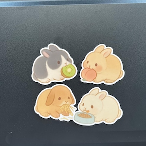 Stickers lapins kawaii | Lapins grignotant des fruits avec kiwi, pêche, foin et bol de nourriture - Feuille de lapin pastel pour agendas, journaux et cadeaux