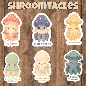 Adesivi Shroomtacles – Simpatico ibrido di fungo polpo fantasy / Amanita muscaria, tromba della morte, finferlo e altro / Vinile pastello cottagecore