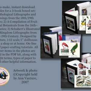 bookb14 Book of Floral and Fauna Lithographs and Engravings from 16th-19th Centuries for 1:12 scale