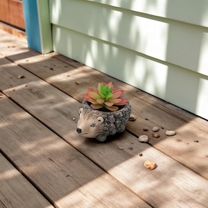 Resin Animal Planter Set: Frog, Turtle & Hedgehog - Whimsical Garden Decor