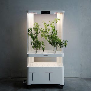 Commercial purpose Hydroponic machine Hypro Planter - H5B