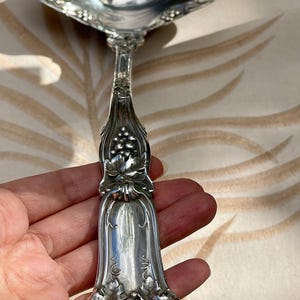 May include: A polished silver-toned metal ladle featuring an ornate handle decorated with embossed grape clusters and vine leaf motifs. The bowl of the ladle is wide and rounded with a scalloped edge, also accented with detailed grape patterns.