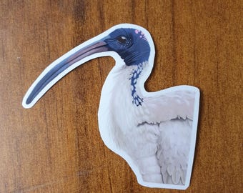 トキのビンチキン、オーストラリアの鳥、オーストラリアのアイコン、動物のステッカー、かわいい手作り、レレクシアクリエイションズ