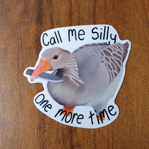 Può includere: Un adesivo raffigurante un'oca con piume grigie e marroni, un becco arancione e zampe arancioni. L'adesivo ha il testo "Call me Silly" e "One more time" in nero, curvo attorno all'oca.
