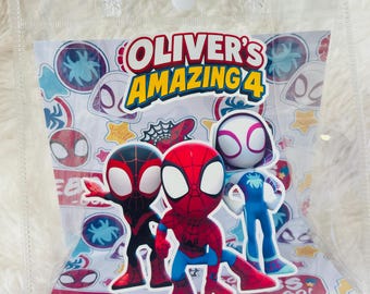 Spidey Party Favor Bag | Personalized Spider Birthday Favor
