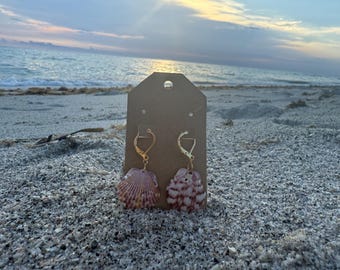 Gold Hoops with Shells
