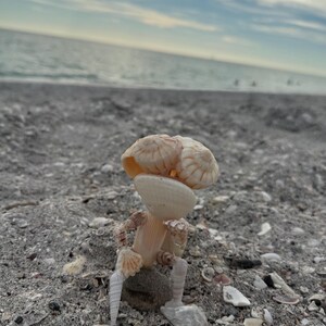 May include: A small figurine constructed from various light-colored seashells, featuring a rounded head made of clustered shells, a flat shell torso, and slender shell limbs, positioned in a seated pose on a small gray stone on a sandy beach.