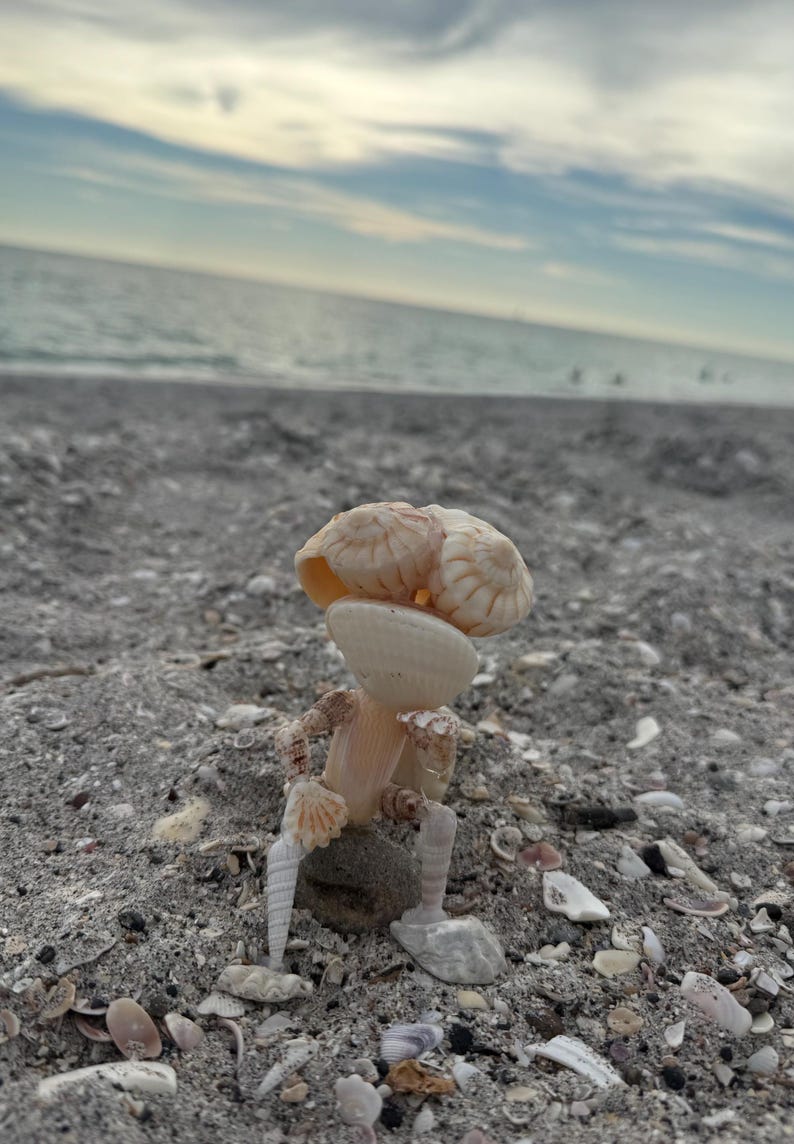 May include: A small figurine constructed from various light-colored seashells, featuring a rounded head made of clustered shells, a flat shell torso, and slender shell limbs, positioned in a seated pose on a small gray stone on a sandy beach.