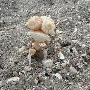 May include: A small figurine constructed from various light-colored seashells, featuring two large rounded shells as eyes, a central shell body, and slender shell limbs. The figure is posed in a seated position, showcasing a textured, organic composition.