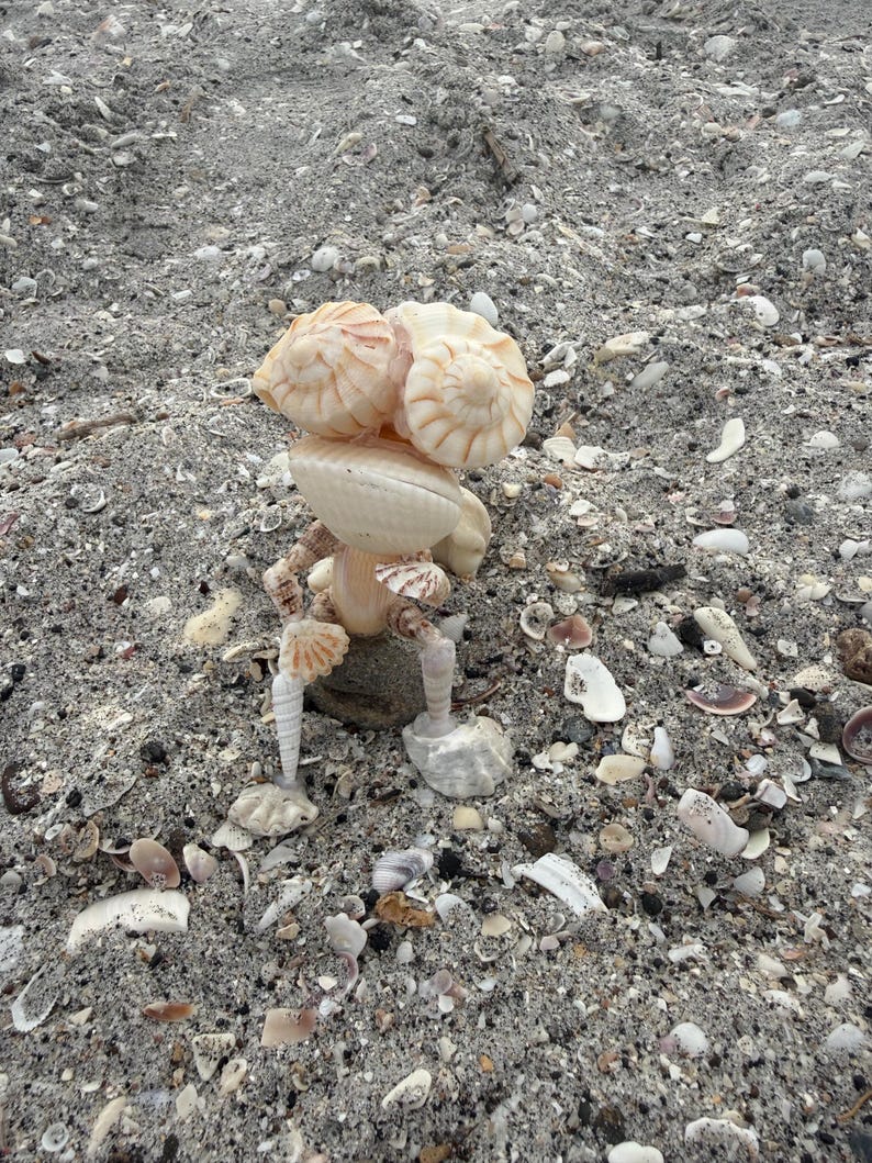 May include: A small figurine constructed from various light-colored seashells, featuring two large rounded shells as eyes, a central shell body, and slender shell limbs. The figure is posed in a seated position, showcasing a textured, organic composition.