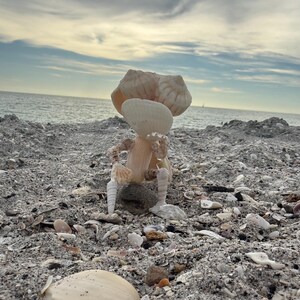 May include: A small figurine constructed from various off-white and tan seashells, shaped to resemble a seated figure. The sculpture features a large shell head, slender shell limbs, and a torso, positioned upright on a dark gray stone.