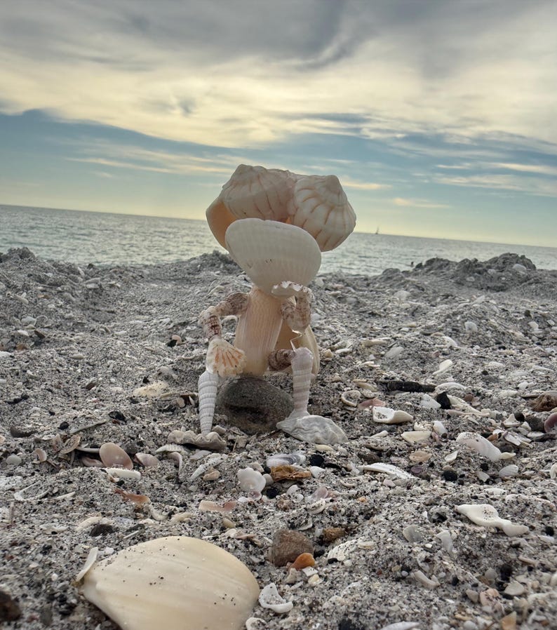 May include: A small figurine constructed from various off-white and tan seashells, shaped to resemble a seated figure. The sculpture features a large shell head, slender shell limbs, and a torso, positioned upright on a dark gray stone.