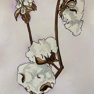 Cotton Bolls Stem | 9 x 12 inch PRINT watercolor and ink mixed media | Botanical Cotton bolls Farm South southern French country gift