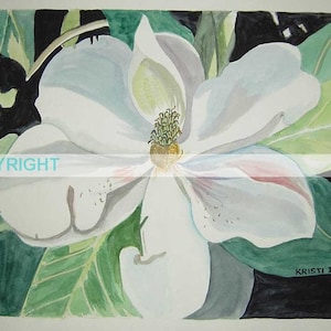 Louisiana Magnolia III  | 11 X 14 Signed Art Print by Louisiana artist Kristi Cavett Jones flower botanical