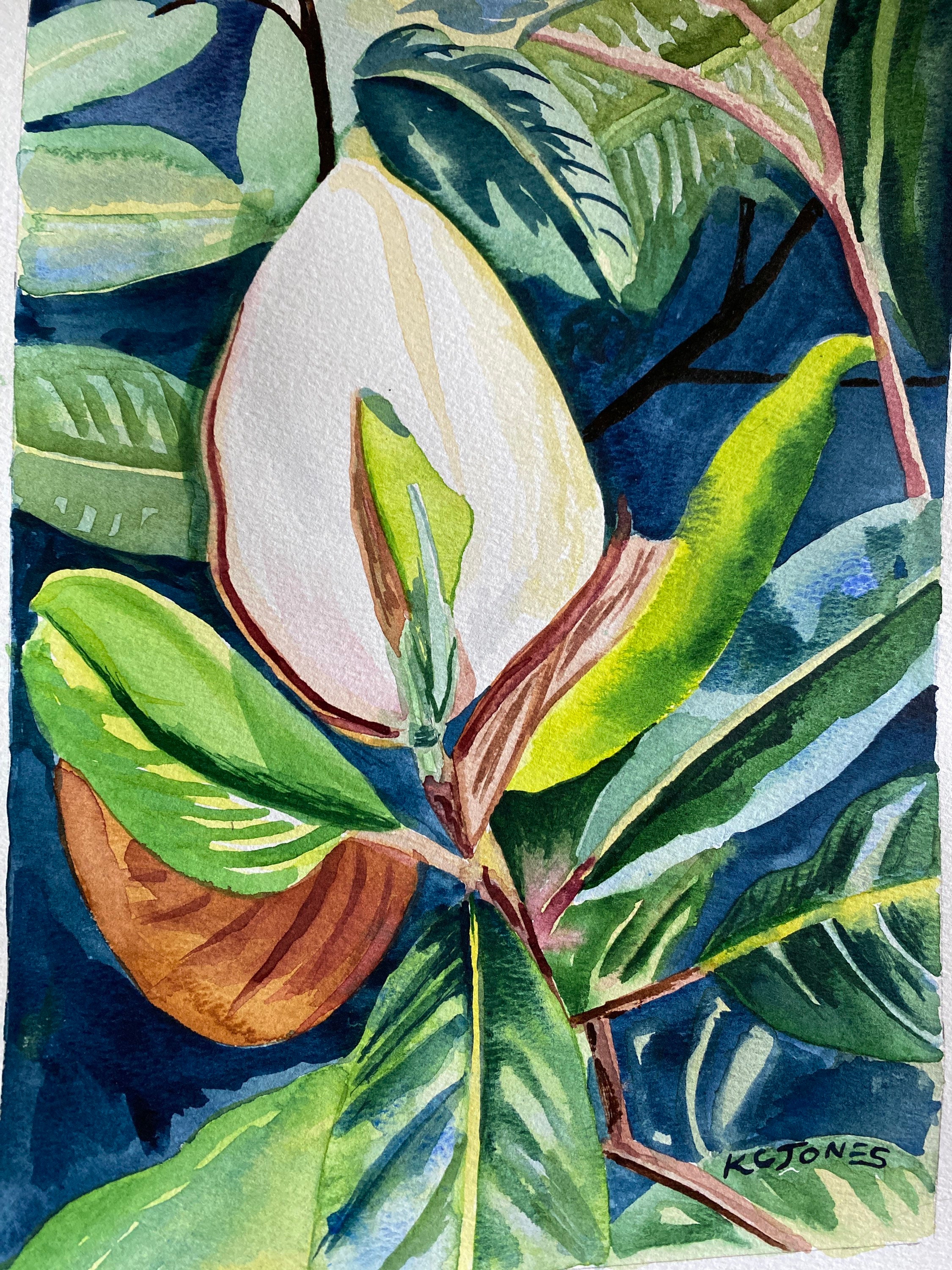 Magnolie Knospe | Druck von Aquarellmalerei | 9X12 signiert | Südliche Blume botanische Stilleben weiße Louisiana Mississippi