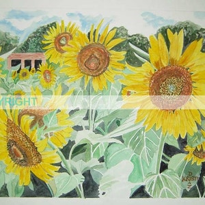 Gilliam Sunflowers - 11 X 14 Signed Art Print country rural Louisiana farming community
